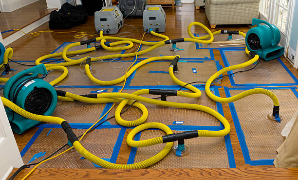 Professional Water Extraction technician working in Kittredge, CO